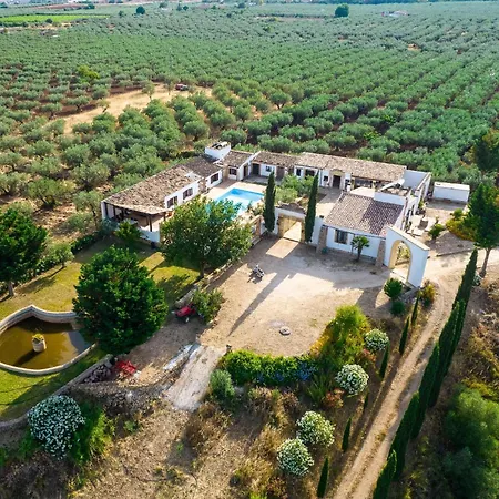Violino Castelvetrano